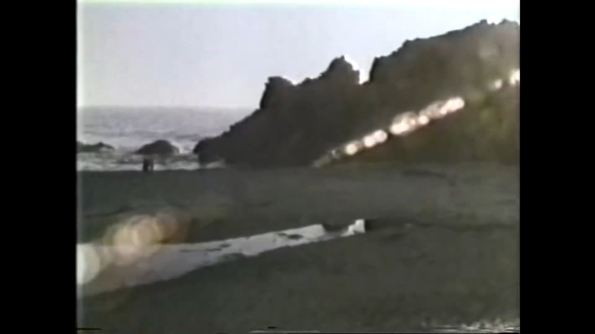 Beach Boys Goin' Platinum (1980 Keepin' The Summer Alive Documentary) 4-7 screenshot.png